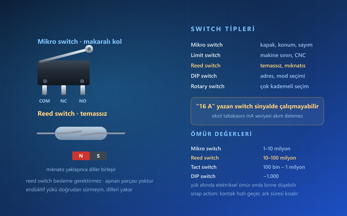 Switch Nedir, Nasıl Seçilir?